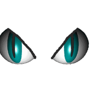 Yeux Turquoise